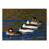 Obtenir mes canards dans une rangée : Quatre Buffl (Devant horizontal)