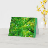 Obtenir une carte (Fleur jaune)