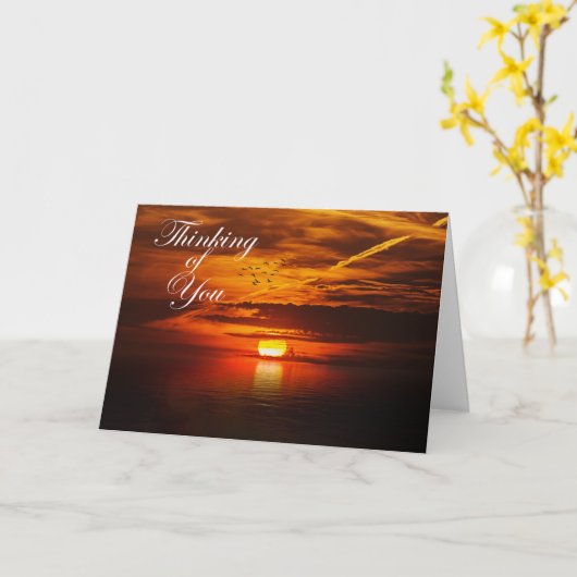 Obtenir une carte (Fleur jaune)