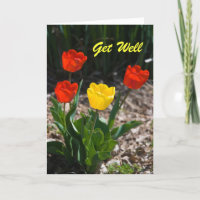 Obtenir une carte de tulipe