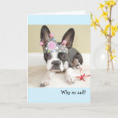 Obtention d'une carte d'anniversaire plus ancienne (Fleur jaune)