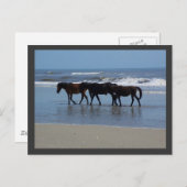 OBX BRIEFKAART (Voorkant / Achterkant)