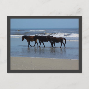 OBX BRIEFKAART