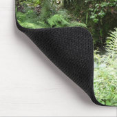 Ocala Florida Forest Footbridge mousepad foto-kuns Muismat (Hoek)