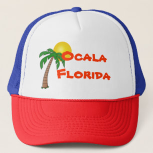 Ocala. Florida Palm Tree pet