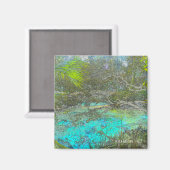 Ocala Forêt nationale Floride Magnet (Recto/Verso)