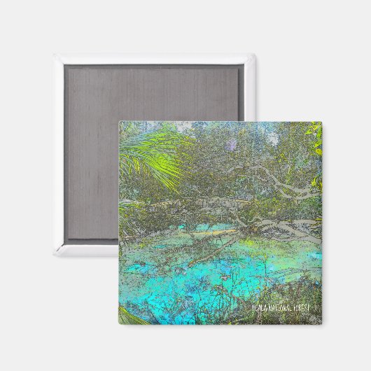 Ocala Forêt nationale Floride Magnet (Recto/Verso)