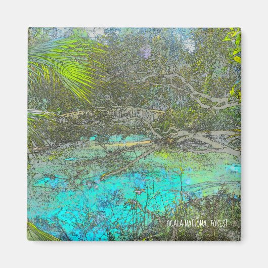 Ocala Forêt nationale Floride Magnet (Devant)