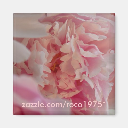 Occhiata Magneet (Voorkant)