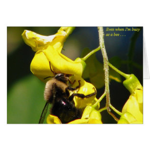 Occupé comme abeille