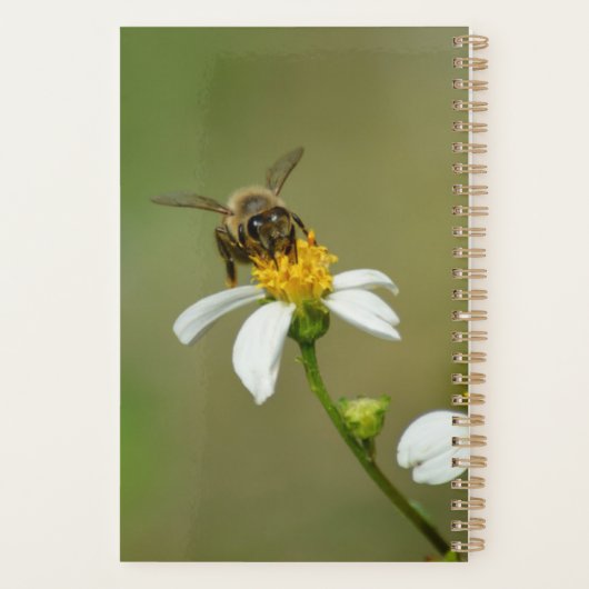 Occupé comme une abeille de miel (Dos)