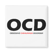OCD - Obsessieve Chihuahua Disorder
