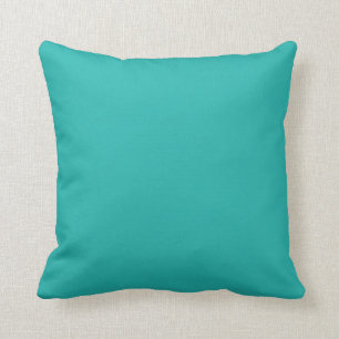 Oceaan Bries Aqua Turkoois Blauw Effen Kleur Achte Kussen