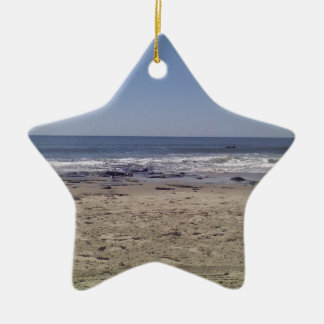 Oceaan Keramisch Ornament
