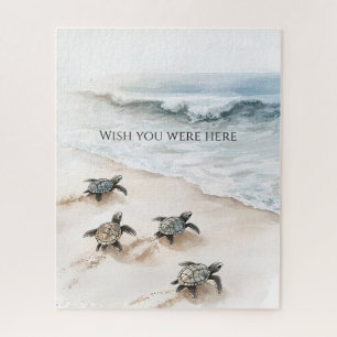 Oceaan Strand Kust Zeeschildpadden Legpuzzel