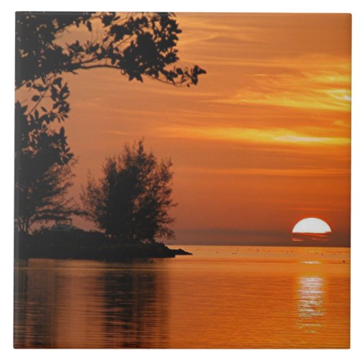 Oceaanbomen zonsondergang Keramische Tegel Tegeltje (Voorkant)