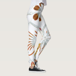  oceaandieren, Copepoda door Ernst Haeckel Leggings