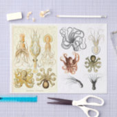 oceaaninktvis - ontkoppelingspagina - Collage Tissuepapier (Craft)