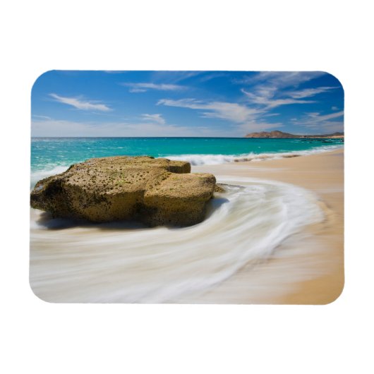 oceaankuiken aan de strand magneet (Horizontaal)