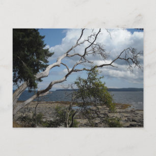 Oceaanzicht Briefkaart