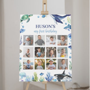 Ocean Animal Boy Verjaardag Foto Mijlpaal teken Poster