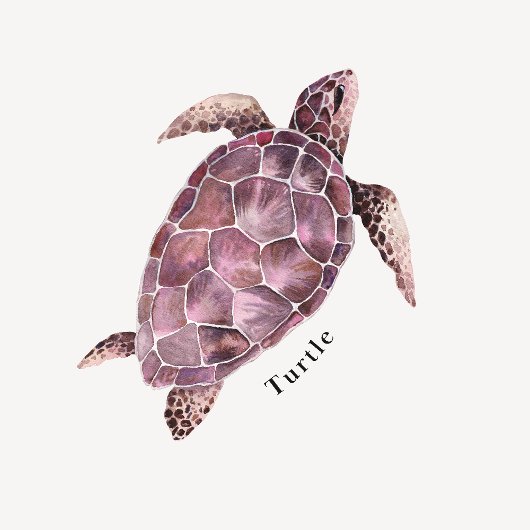 Ocean Animals Educational Poster Perfect Poster