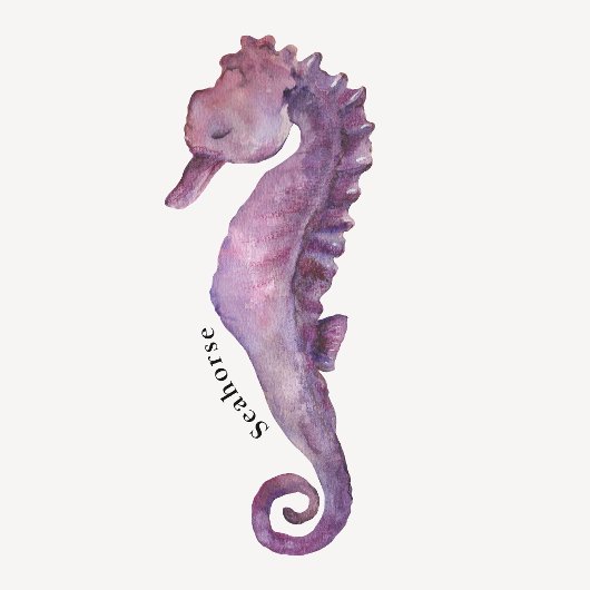 Ocean Animals Educational Poster Perfect Poster