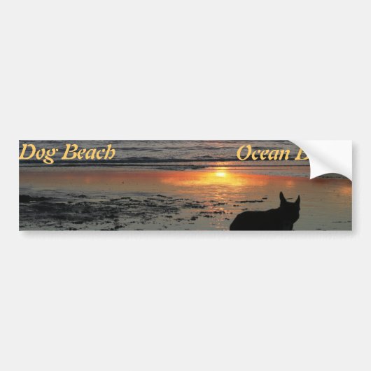 Ocean Beach, hondenstrandbumper sticker (Voorkant)