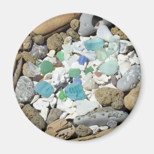 Ocean Beach Rock Garden magnets Zee Glass Shells Magneet