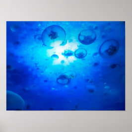 Ocean Blue Jellyfish Foto Poster
