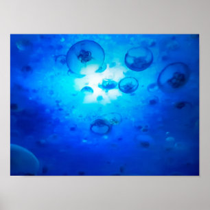 Ocean Blue Jellyfish Foto Poster