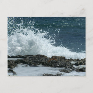 Ocean Blue/Response Card Uitnodiging Briefkaart