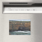 Ocean Carved Wonders Magneet (Insitu (Vaatwasser))