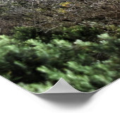 Ocean Carved Wonders Poster (Hoek)