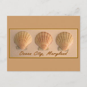 Ocean City, Briefkaart van Maryland