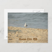 Ocean City, carte postale MD (Devant / Derrière)