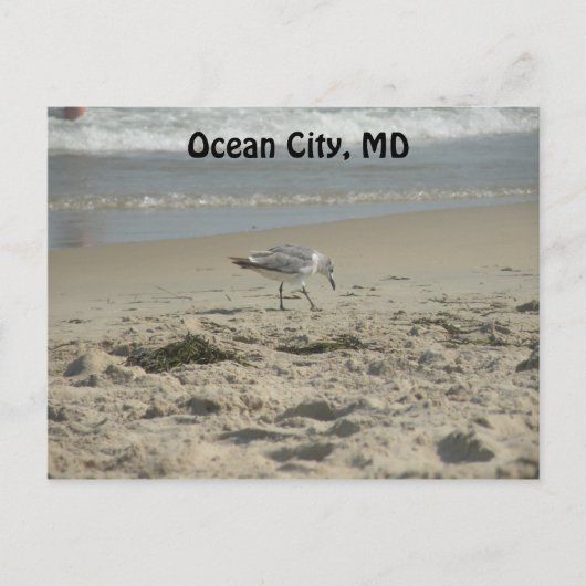 Ocean City, carte postale MD (Devant)