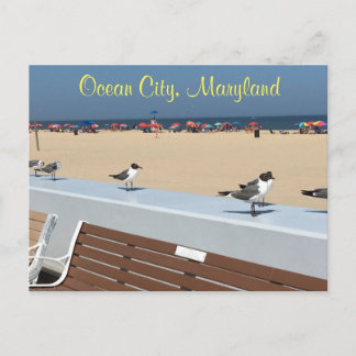 Ocean City Maryland Birds Briefkaart