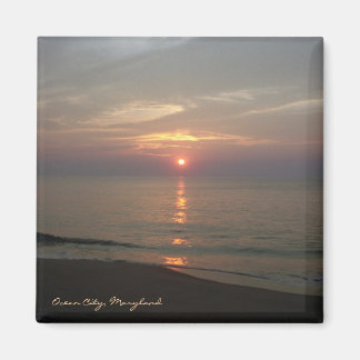 Ocean City Maryland Magnet Magneet