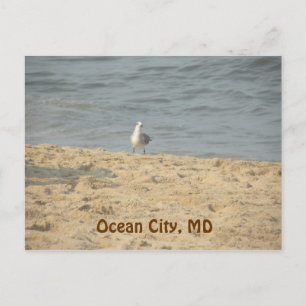 Ocean City, MD Briefkaart
