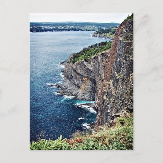 Ocean Cliffs - Newfoundland, Canada Briefkaart (Voorkant)