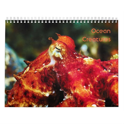 Ocean Creatures Calendar Kalender (Hoes)