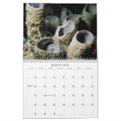 Ocean Creatures Calendar Kalender (Mar 2026)
