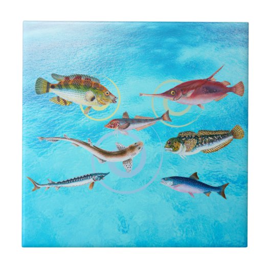 Ocean Delight Tegeltje (Voorkant)