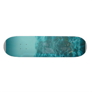 Ocean Design Skateboard