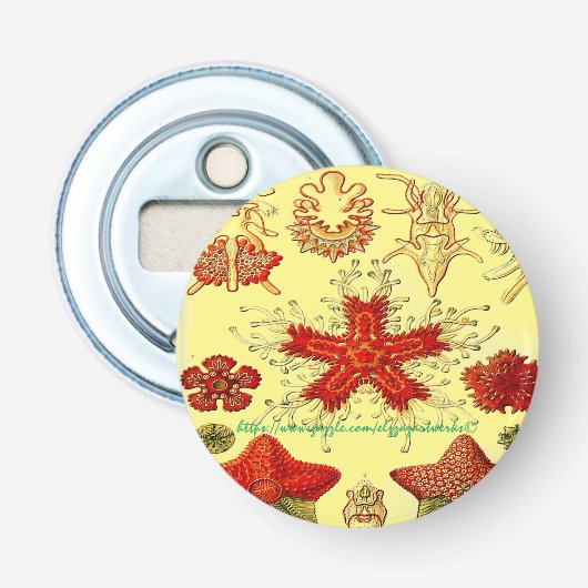 Ocean Drift Button Flesopener (Voorkant)