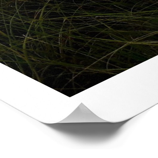 Ocean Dunes Poster (Hoek)