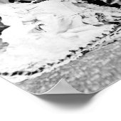 Ocean Empress and Deep Zee Diver - Circa 1880 Poster (Hoek)