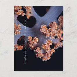 Ocean Herinnering / Zachte Koraal #001 Briefkaart