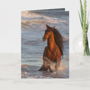 Ocean Horse at Sunset Horse Carte de voeux